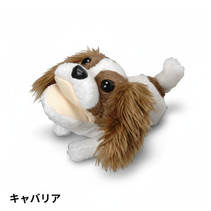 アニマルスタンド：犬シリーズ